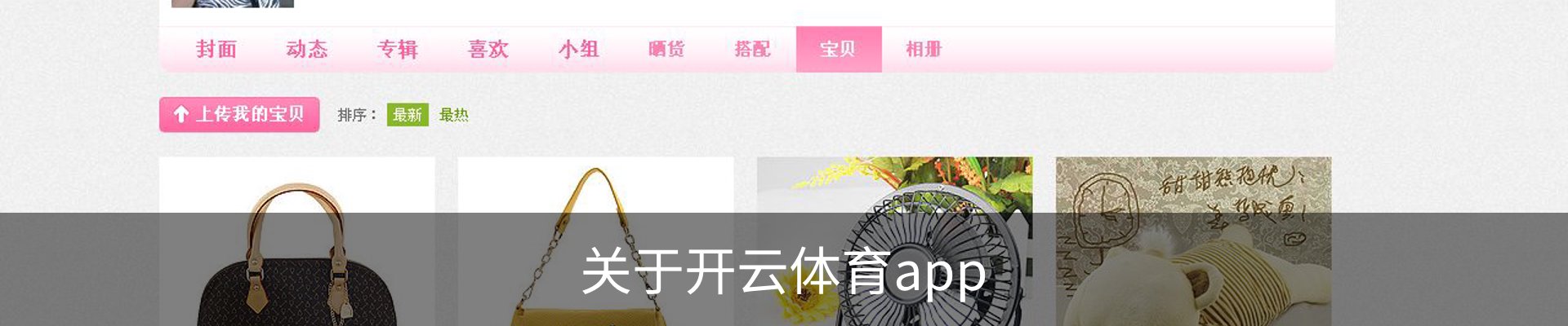 关于开云体育app
